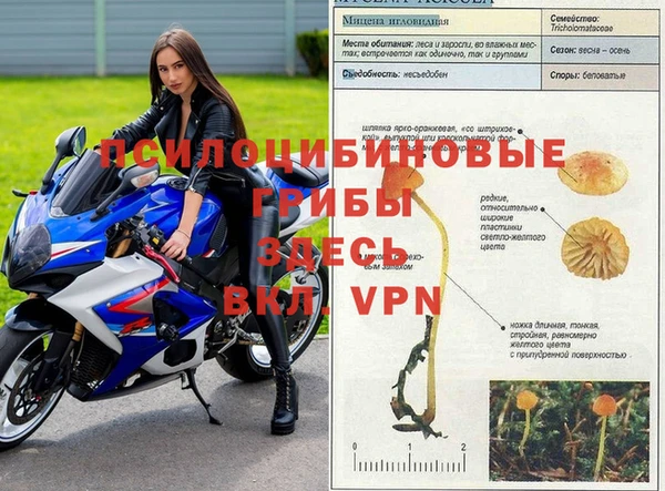 мдпв Балабаново