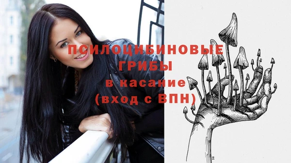 бошки Армянск
