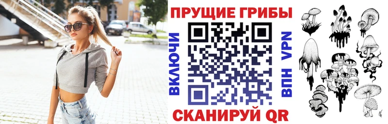 купить наркотик  Сураж  blacksprut зеркало  Псилоцибиновые грибы Psilocybine cubensis 